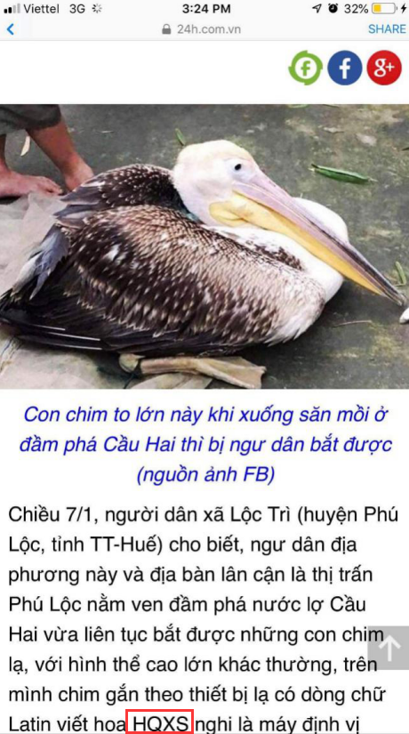 尊龙凯时,湖南野生动物追踪,湖南卫星追踪器,湖南追踪器