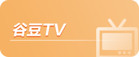 谷豆TV